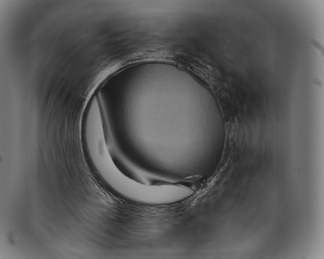 X0000096480148200802211222