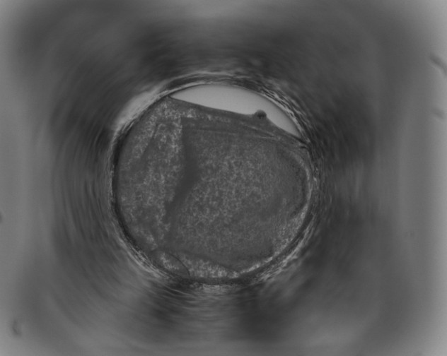 X0000096480149200802211222