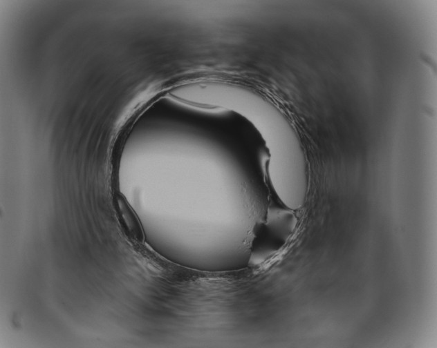 X0000096480150200802211222