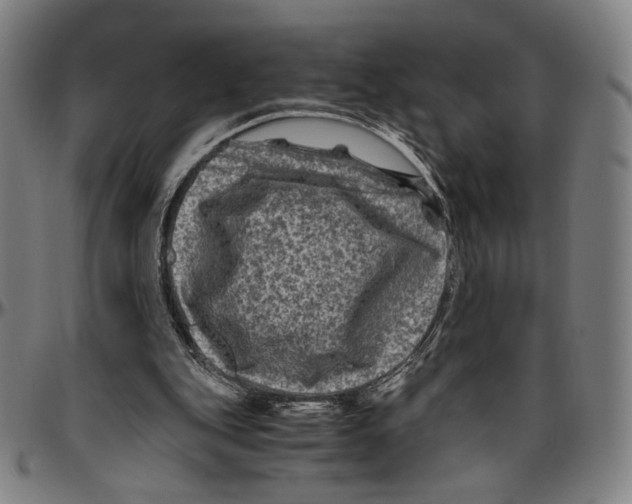 X0000096480151200802211222