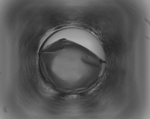 X0000096480152200802211222