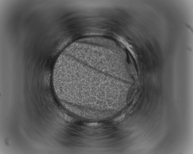 X0000096480153200802211222