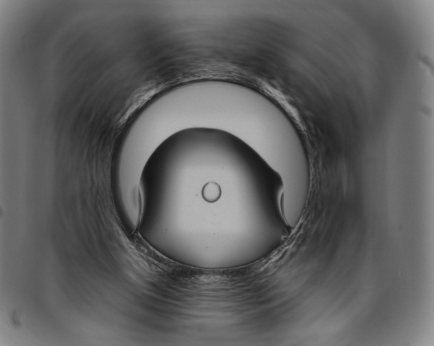 X0000096480154200802211222