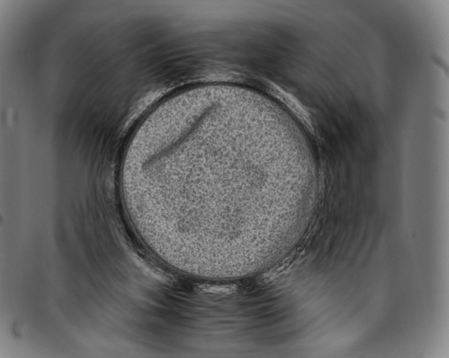 X0000096480155200802211222