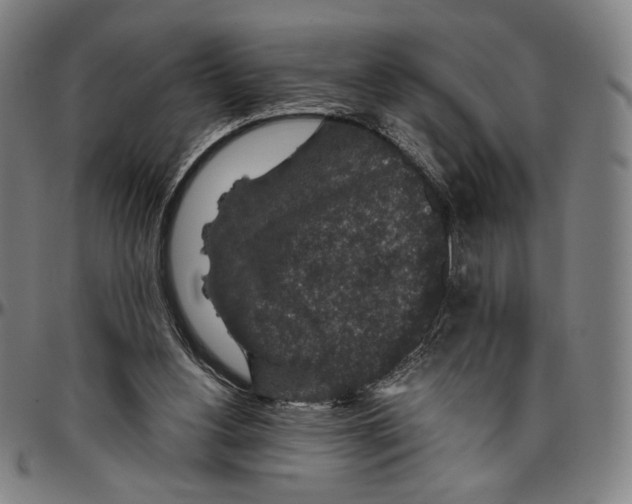 X0000096480156200802211222