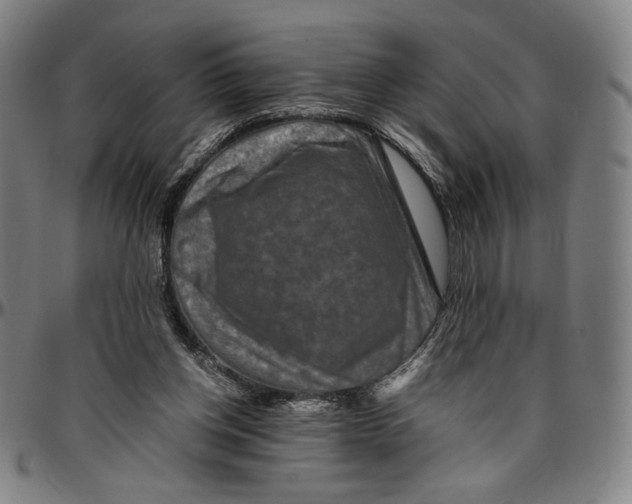 X0000096480158200802211222