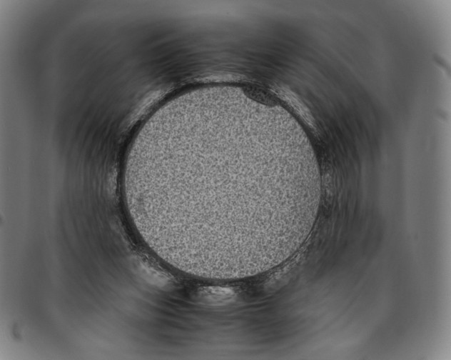 X0000096480159200802211222