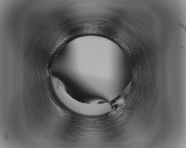 X0000096480160200802211222