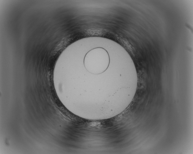 X0000096480162200802211222