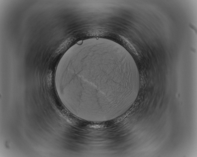 X0000096480163200802211222