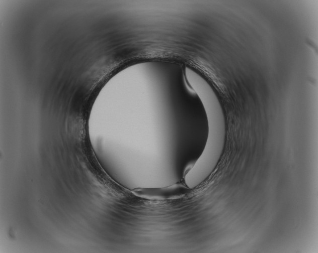 X0000096480164200802211222