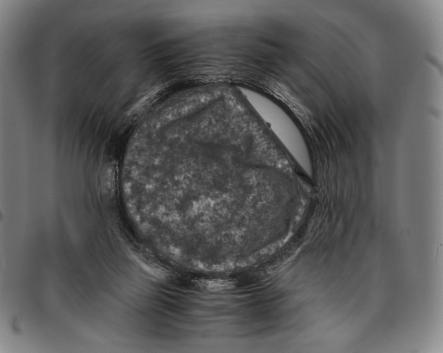 X0000096480165200802211222