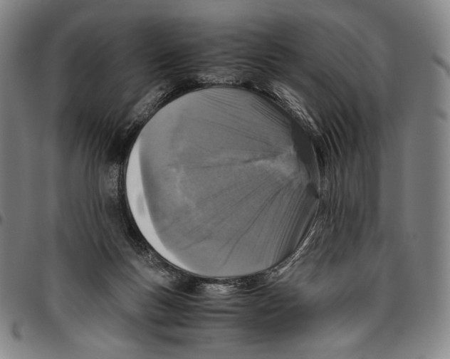 X0000096480167200802211222