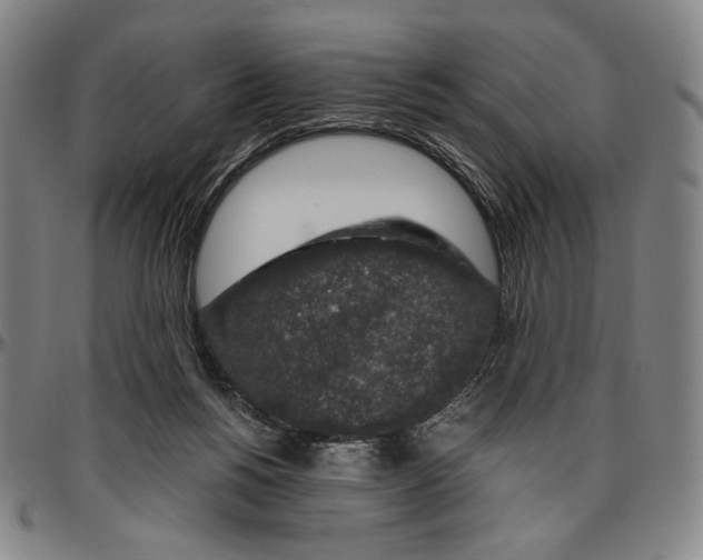 X0000096480168200802211222