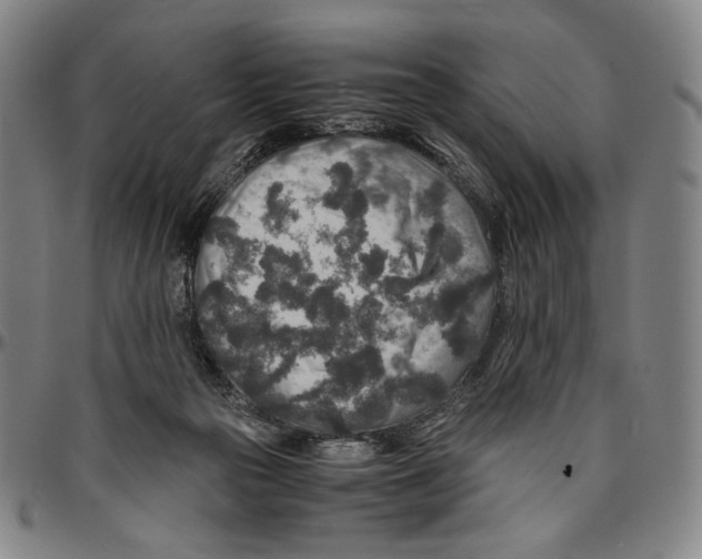 X0000096480169200802211222