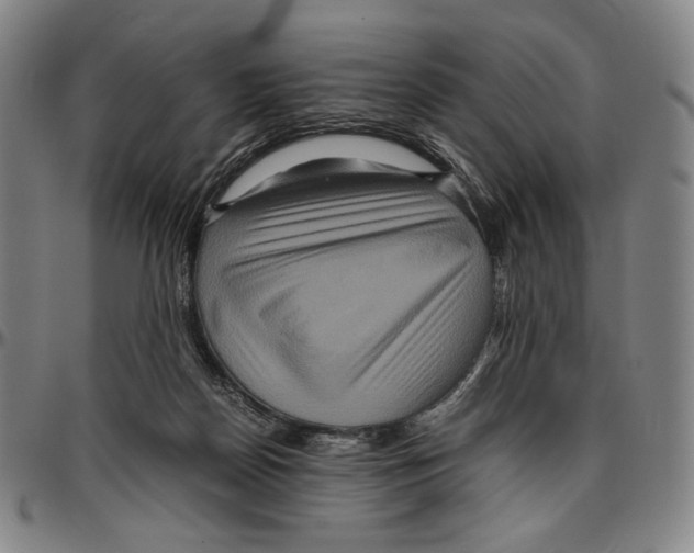 X0000096480170200802211222
