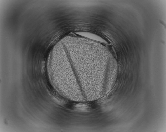 X0000096480171200802211222