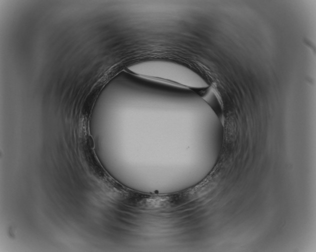 X0000096480172200802211223