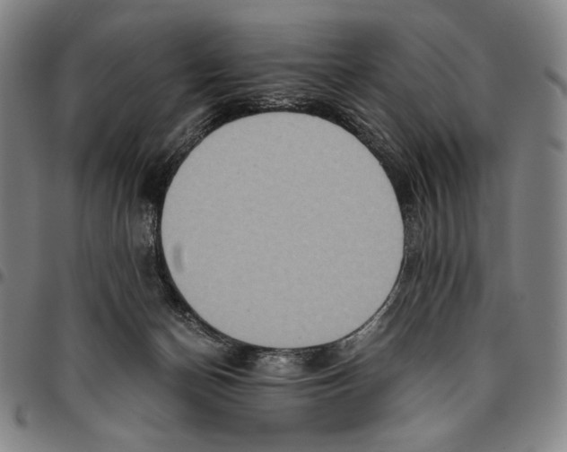 X0000096480174200802211223