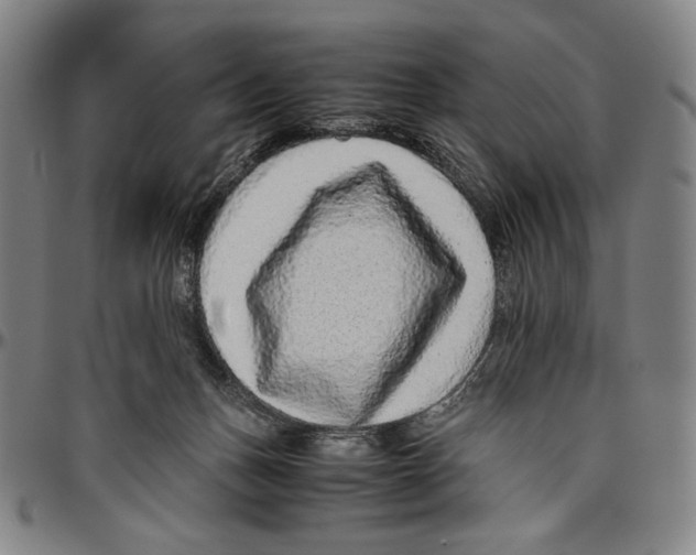 X0000096480175200802211223