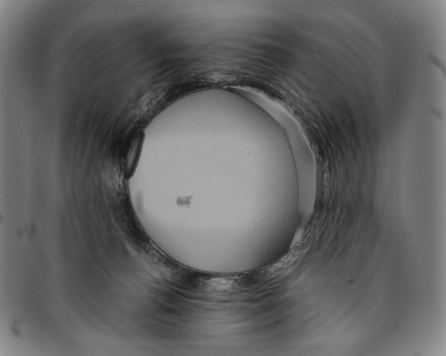 X0000096480176200802211223