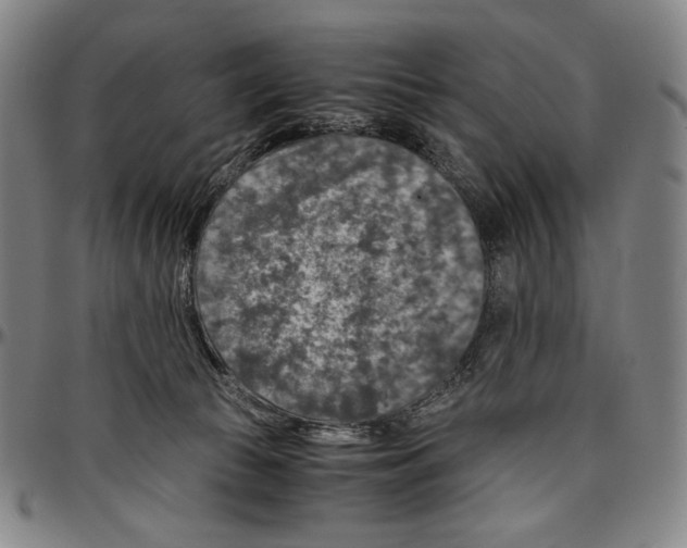 X0000096480177200802211223