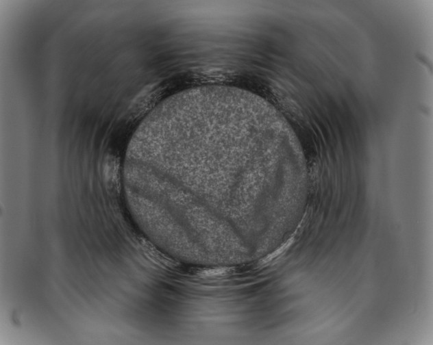 X0000096480178200802211223