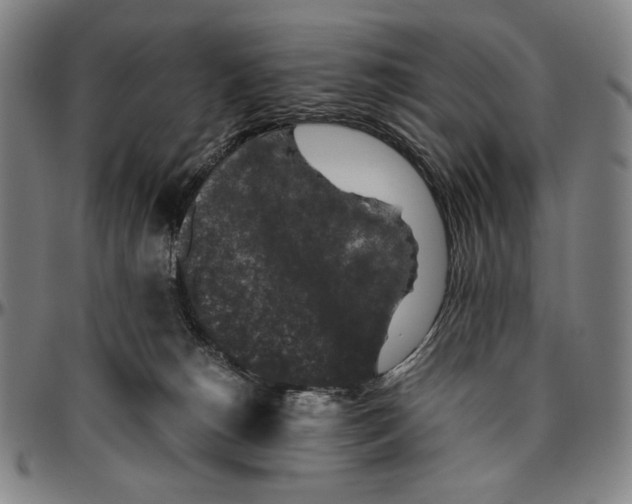X0000096480180200802211223