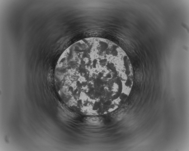 X0000096480181200802211223