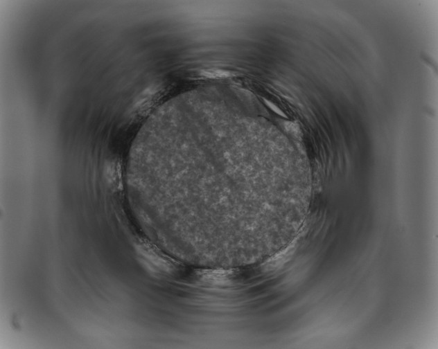 X0000096480182200802211223