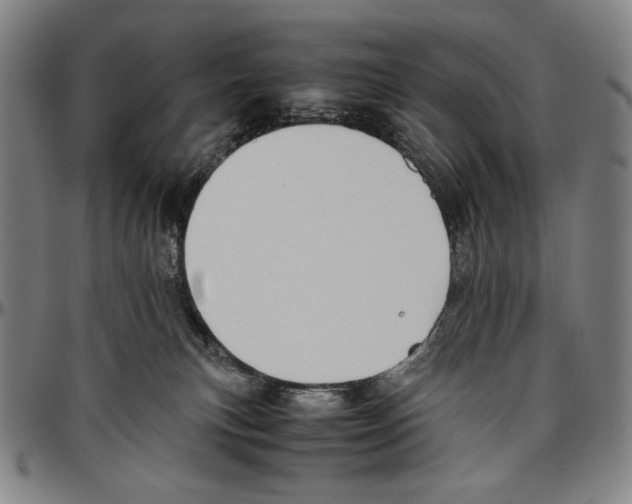 X0000096480183200802211223