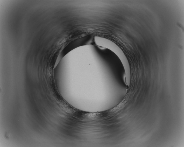 X0000096480184200802211223