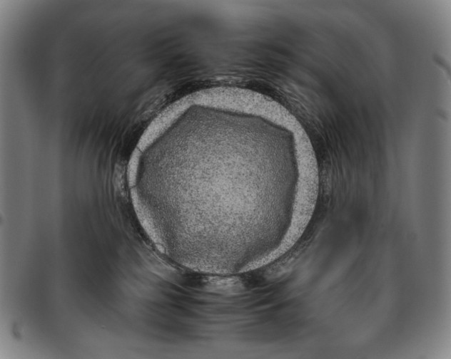 X0000096480185200802211223