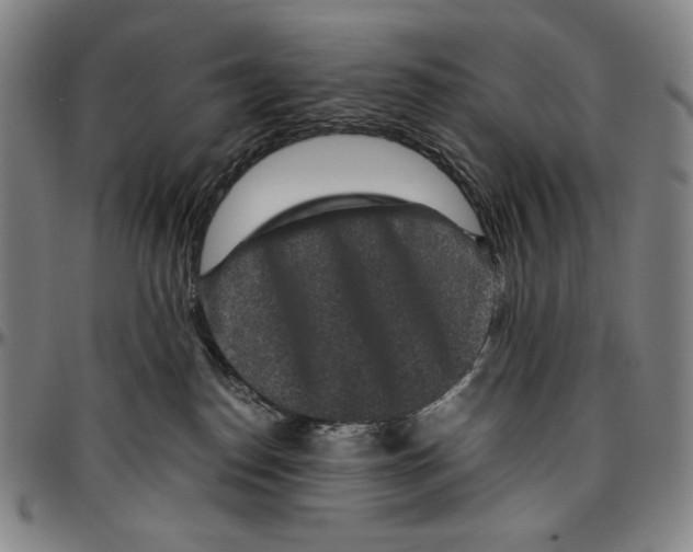 X0000096480186200802211223