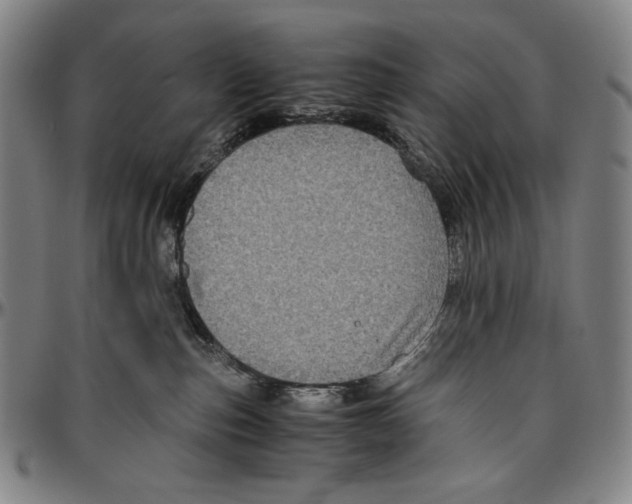 X0000096480187200802211223