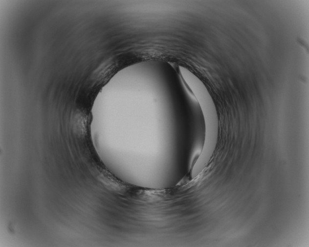 X0000096480188200802211223