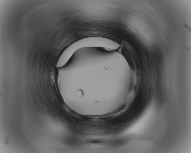 X0000096480190200802211223