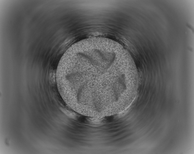 X0000096480191200802211223