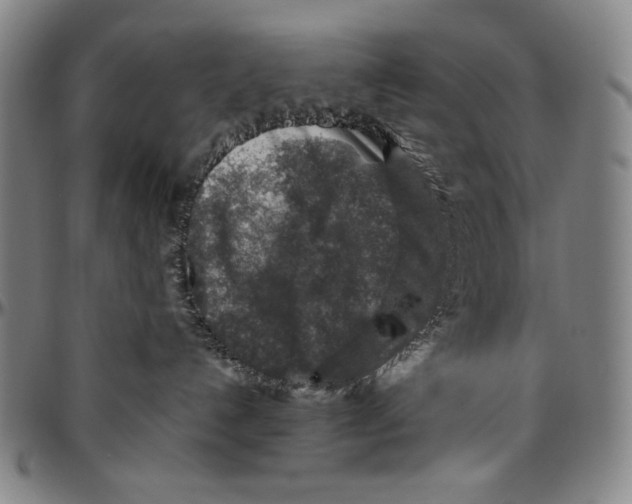 X0000096480192200802211223