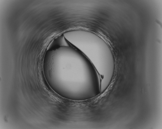 X0000096480193200802211222