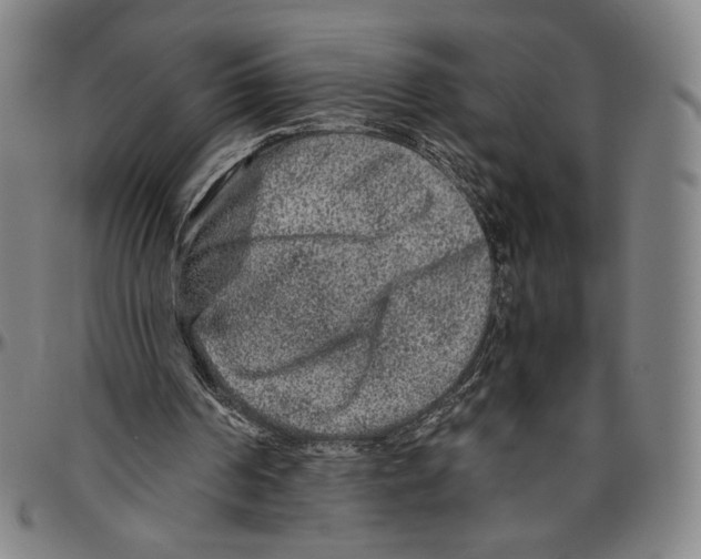 X0000096480194200802211222