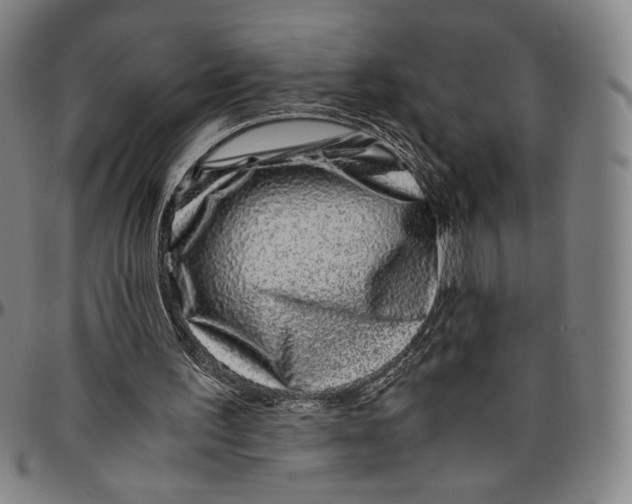X0000096480195200802211222