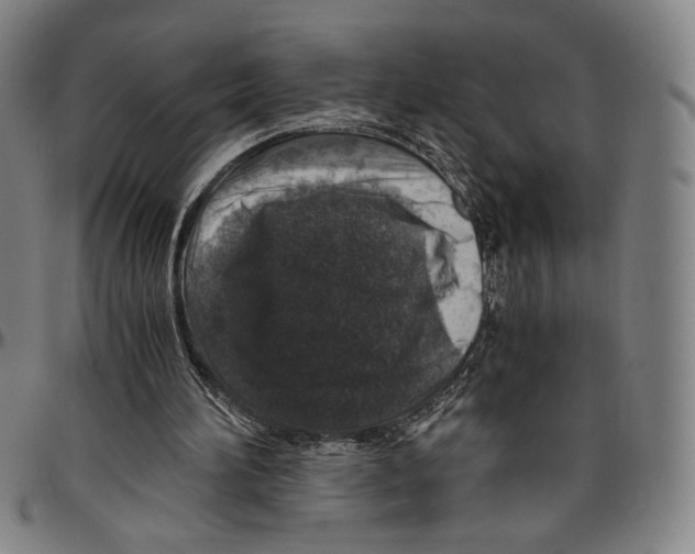 X0000096480196200802211222