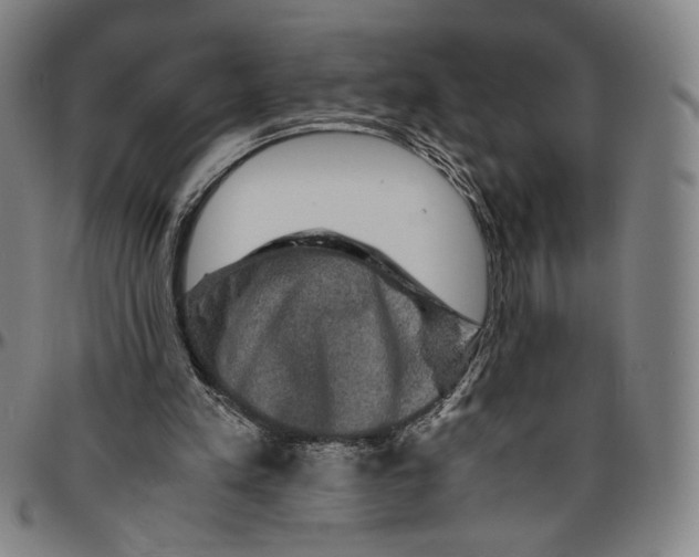 X0000096480197200802211222