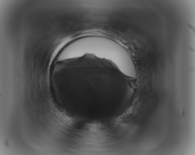 X0000096480200200802211222