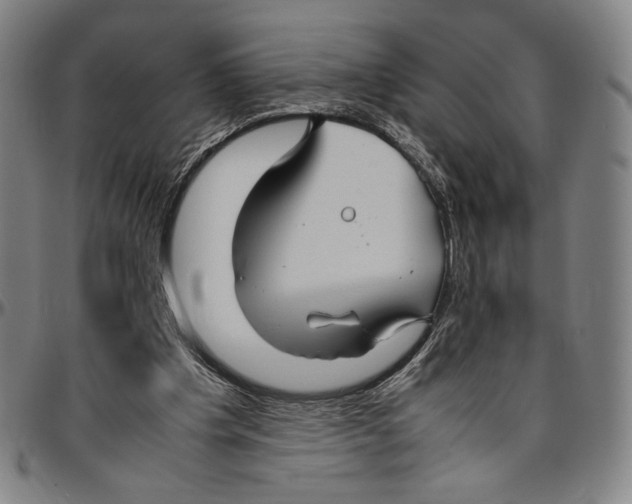 X0000096480201200802211222
