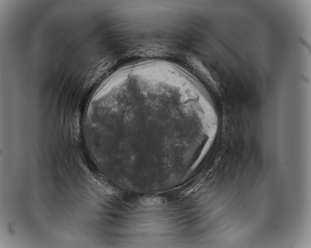 X0000096480202200802211222
