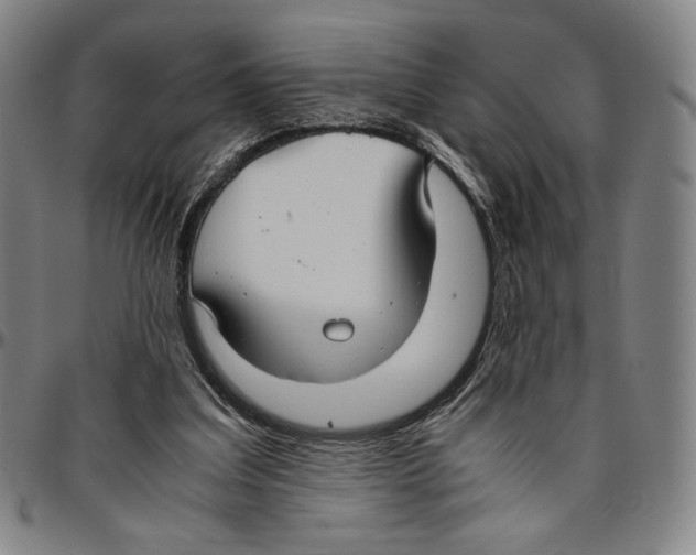 X0000096480203200802211222
