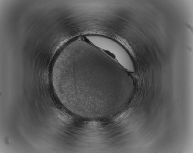 X0000096480204200802211222