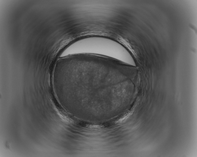 X0000096480205200802211222